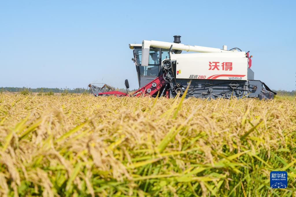 ag金龙珠爆分
